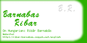 barnabas ribar business card